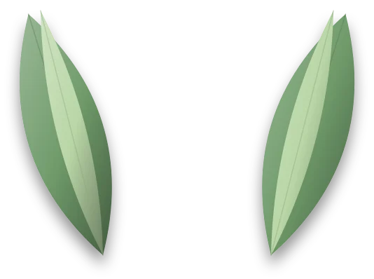Two leaves curled inwards along their length, showing the paler underside on the inside of each curl.