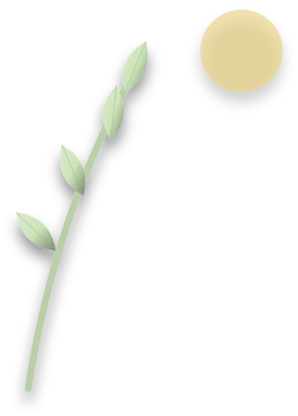 A tall, thin stem with small, pale leaves spaced far apart, leaning towards a light source.