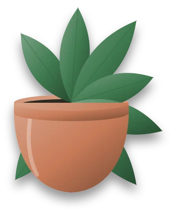 A healthy green plant in a pot with leaves but no flower buds on any of its stems.