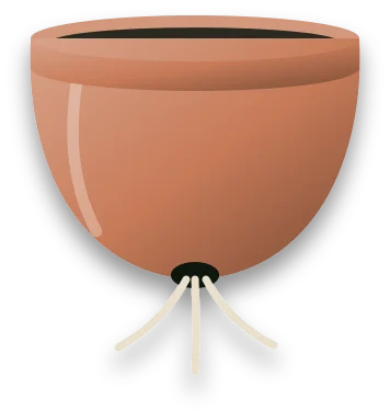 A pot with pale roots growing out through the drainage hole in its base and across the top of the compost.