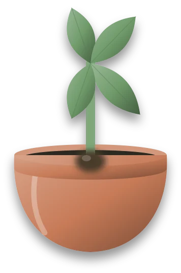A stem whose base has gone soft and glossy and dark, standing in a pot of wet compost.