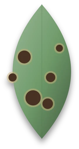 A leaf covered in scattered dark brown spots of different sizes, some with a paler ring around them.