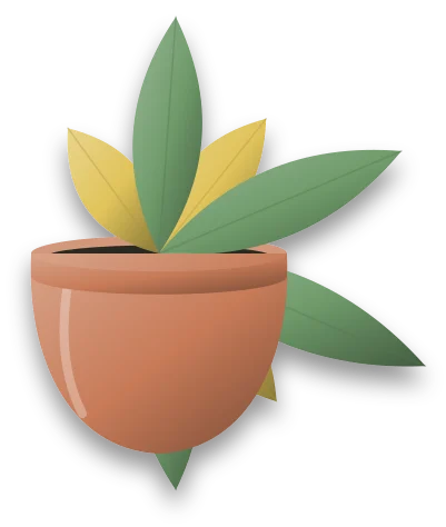 A plant whose lower leaves have turned yellow, while the leaves higher up stay green.