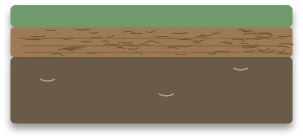 A cross-section of lawn turf, showing a band of dense brown thatch between the green grass above and the soil below.