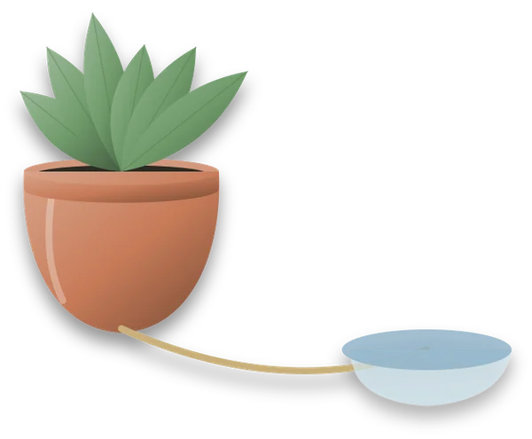 A potted plant with a cord running from its base down to a shallow bowl of water beside the pot.